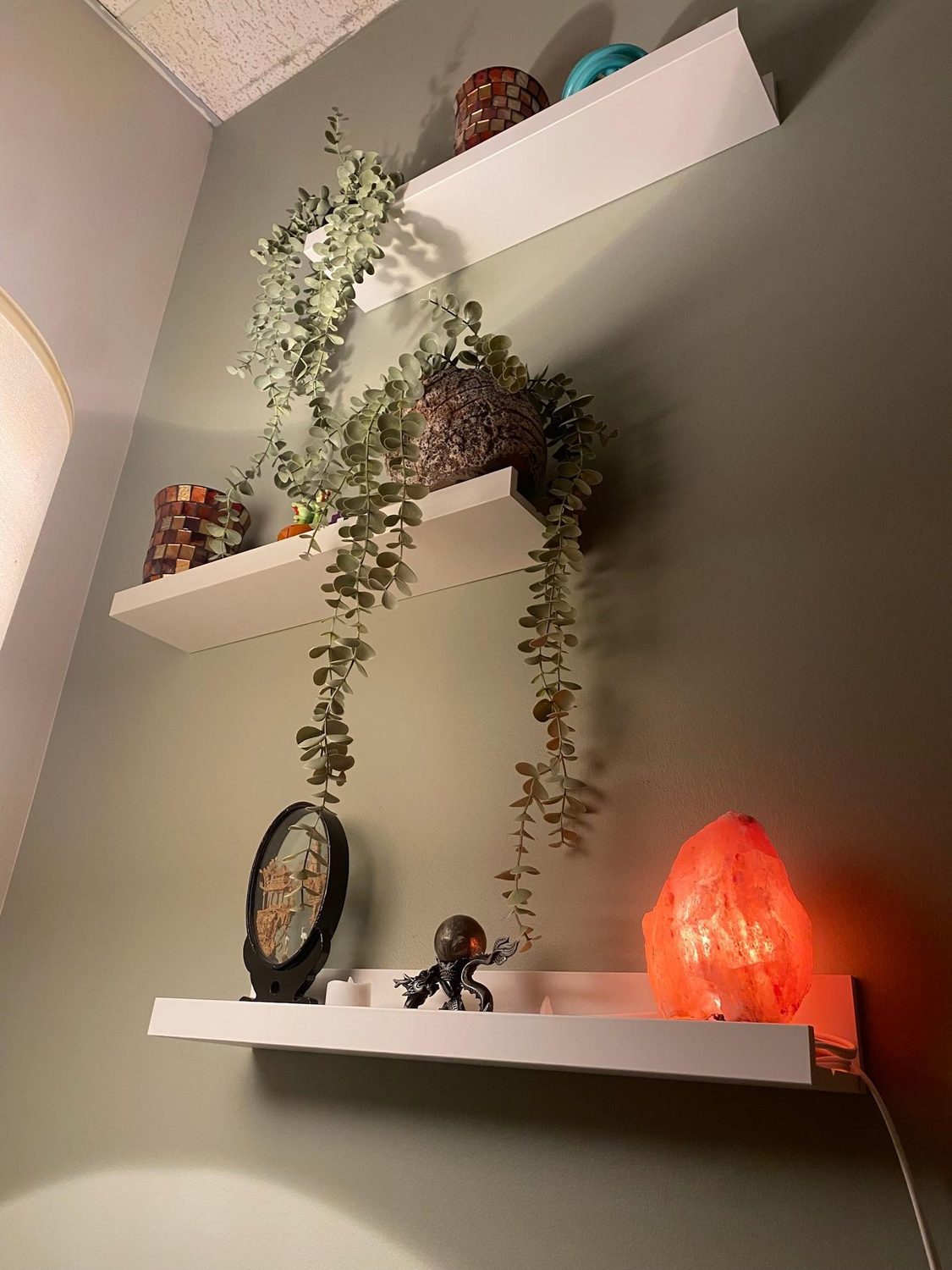 Shelves with plants, crystals and a salt lamp